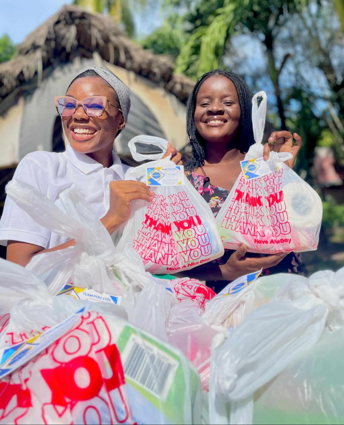 DISTRIBUTION KIT ALIMENTAIRES 